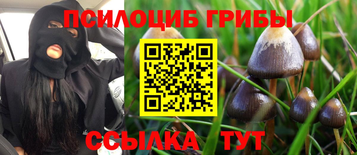 Сарапул  Галлюциногенные грибы ЛСД  Галлюциногенные грибы Psilocybe  где найти   Вход с VPN 